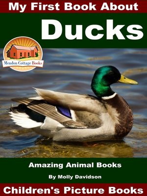 cover image of My First Book About Ducks